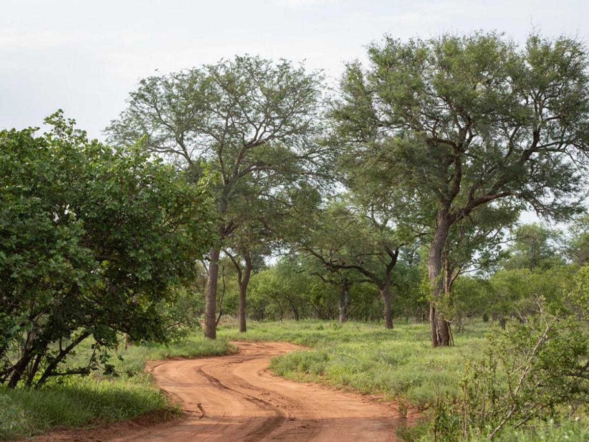 Ujabule Lodge Hoedspruit Luaran gambar